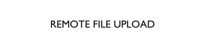 mysccar Remote File Upload